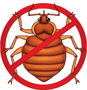 bed bugs_clipped_rev_2